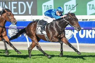 Oceanex (NZ) wins the A$320,000 Listed Andrew Ramsden (2800m) at Flemington. 